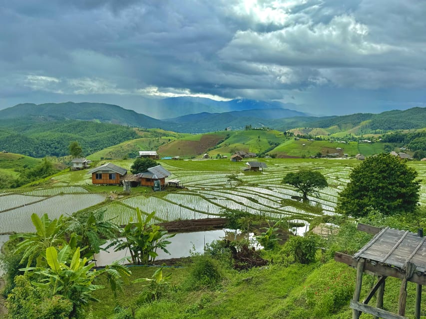 Chiangmai : Doi Inthanon unseen spot , Rice terrace & temple - Rice terraces that change with the season