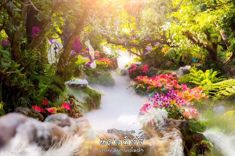 Chiangmai to Chiangrai: 3 Temples, Hot Springs& Lalitta Cafe - Key points to know before you book