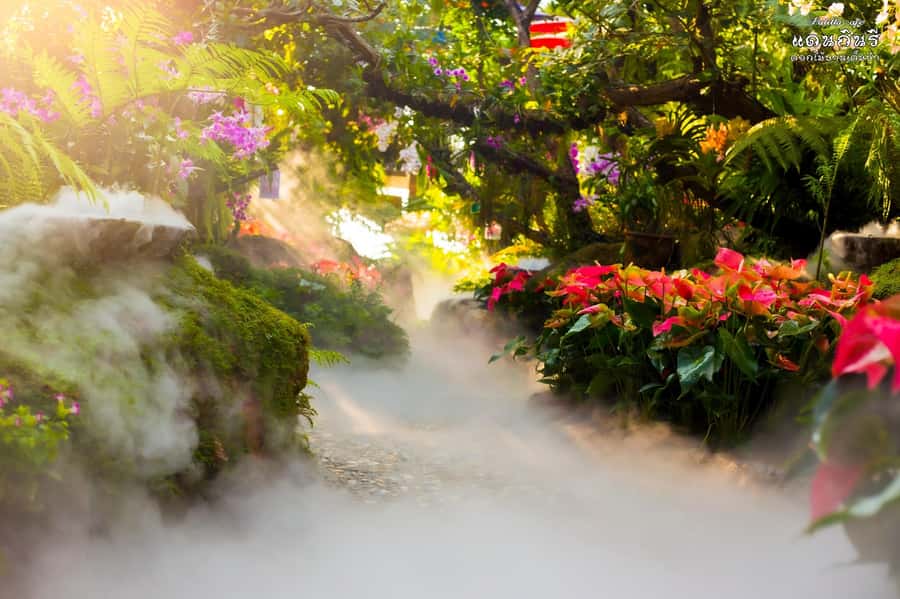 Chiangmai to Chiangrai: 3 Temples, Hot Springs& Lalitta Cafe - The van ride, guide, and pace