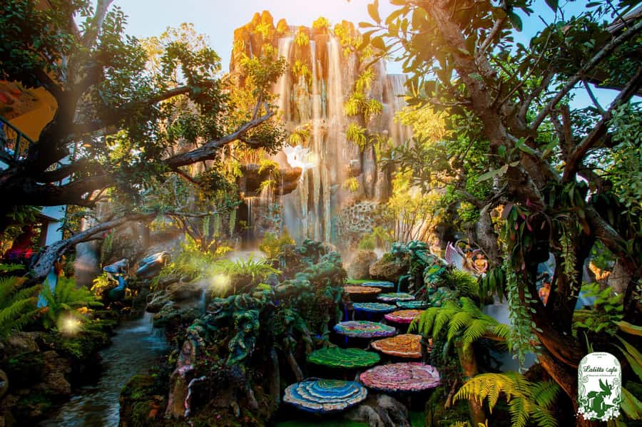 Chiangmai to Chiangrai: 3 Temples, Hot Springs& Lalitta Cafe - Mae Khachan hot springs: a quick, steamy pause