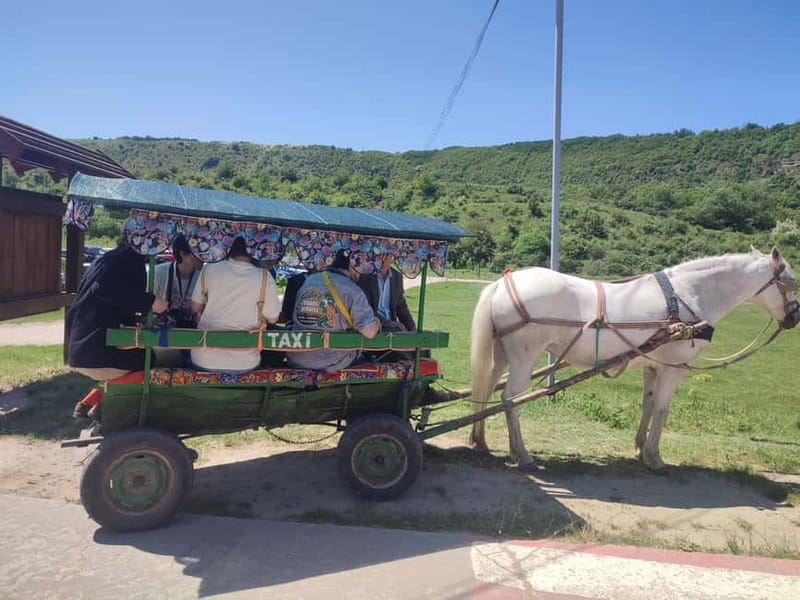 Chisinau: Cricova Winery, Curchi Monastery, & Old Orhei Tour - Old Orhei and the Răut River valley