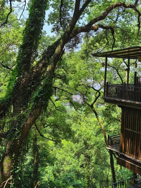 Chongqing: Historical Blocks, Temple, and Mountain Tour - Is $88 per person good value?