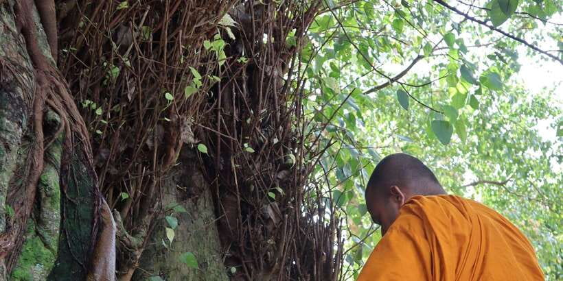 Colombo Port Shore Excursions Colombo City & Kalaniya Temple - Key points to know before you book
