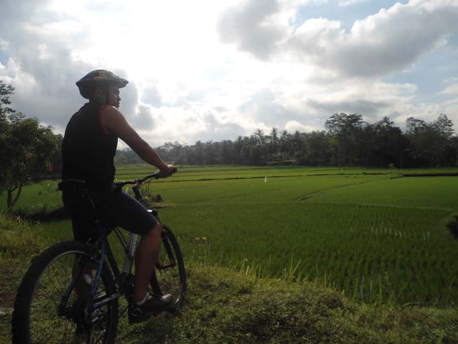 Countryside Bike Ride to Golong Village and Lingsar Temple - Rice paddies, villages, and the working countryside