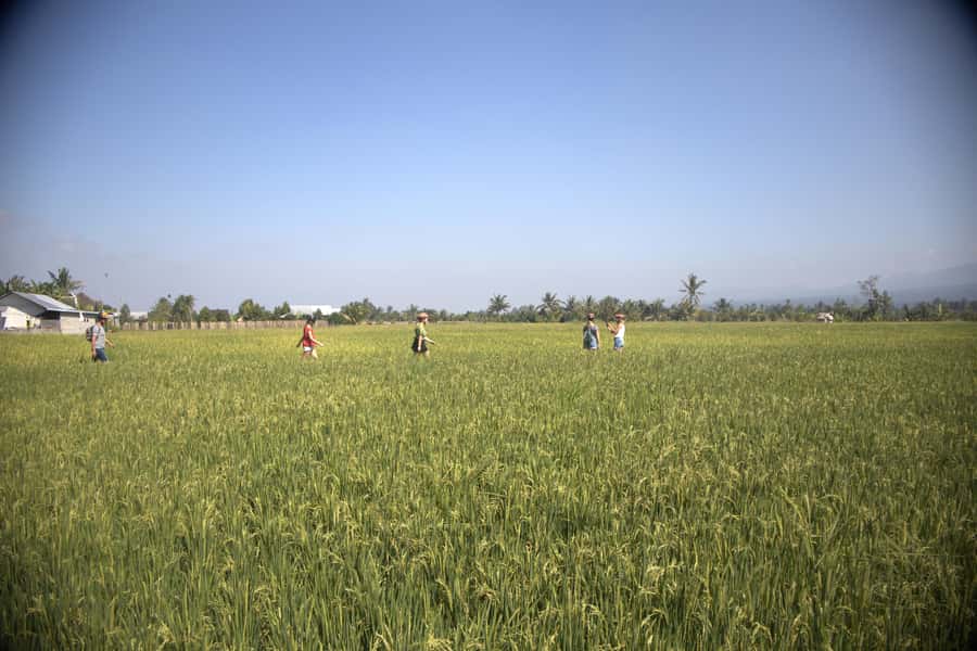 Countryside Bike Ride to Golong Village and Lingsar Temple - Reaching Lingsar Temple