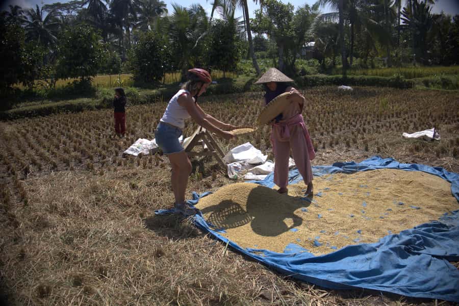 Countryside Bike Ride to Golong Village and Lingsar Temple - What the $70 price really covers