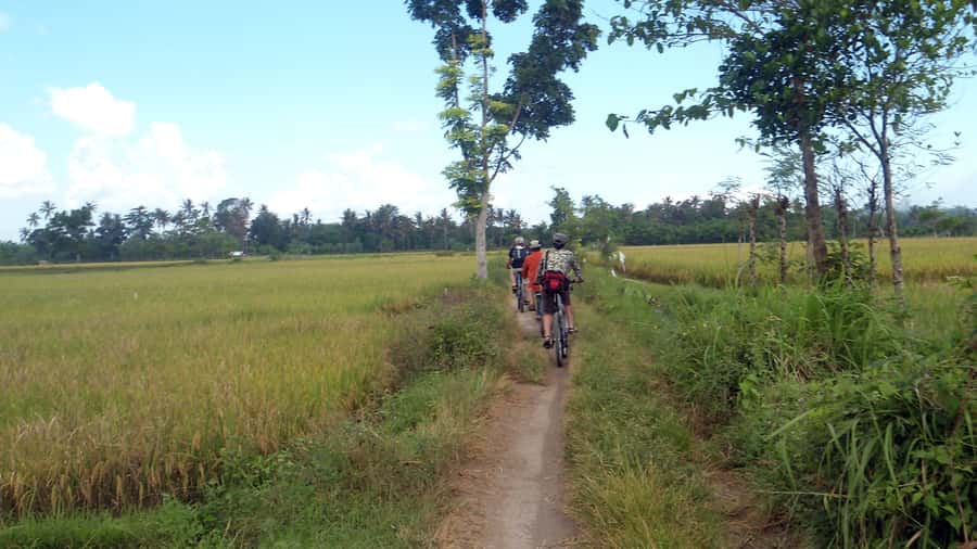 Countryside Bike Ride to Golong Village and Lingsar Temple - The early pickup and drive to the starting point
