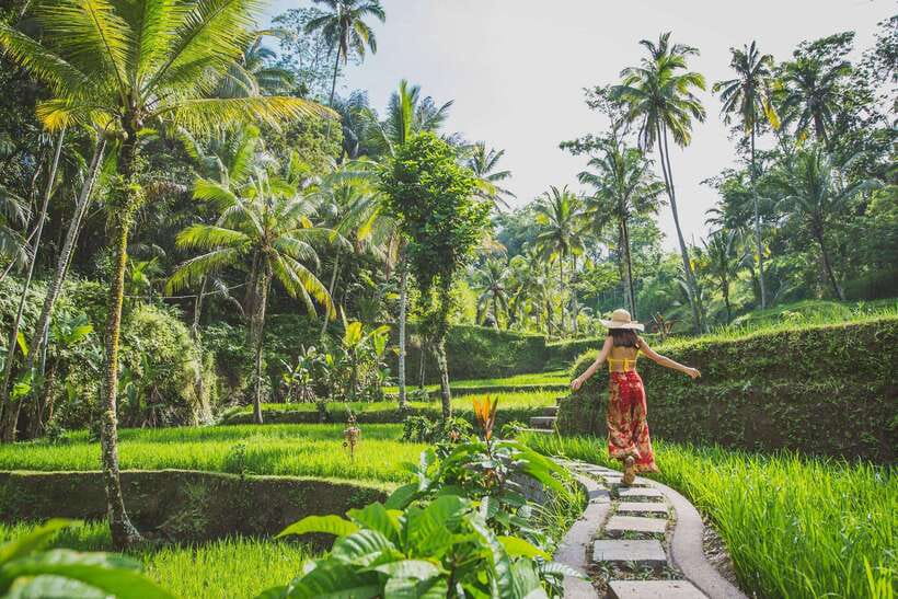 Cretya Ubud, Rice Terrace, Temple & Waterfall Day Tour - Packing for waterfalls, temple, and pool-bar views