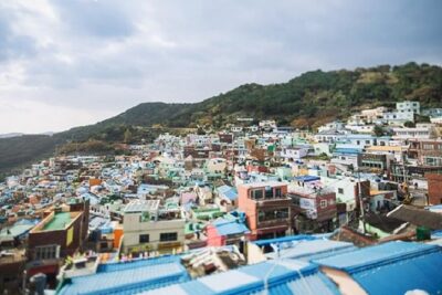 Cruise Layover Busan Highlight Tour with Sea temple and Gamcheon