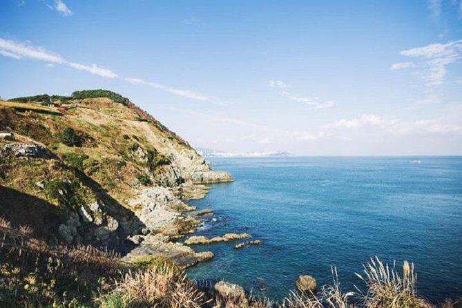 Cruise Layover Busan Highlight Tour with Sea temple and Gamcheon - Haeundae Beach and Nurimaru APAC House