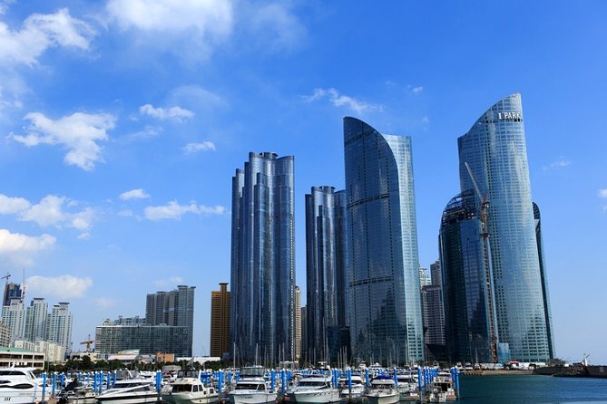 Cruise Layover Busan Highlight Tour with Sea temple and Gamcheon - Lunch, water, Wi-Fi, and the fine print