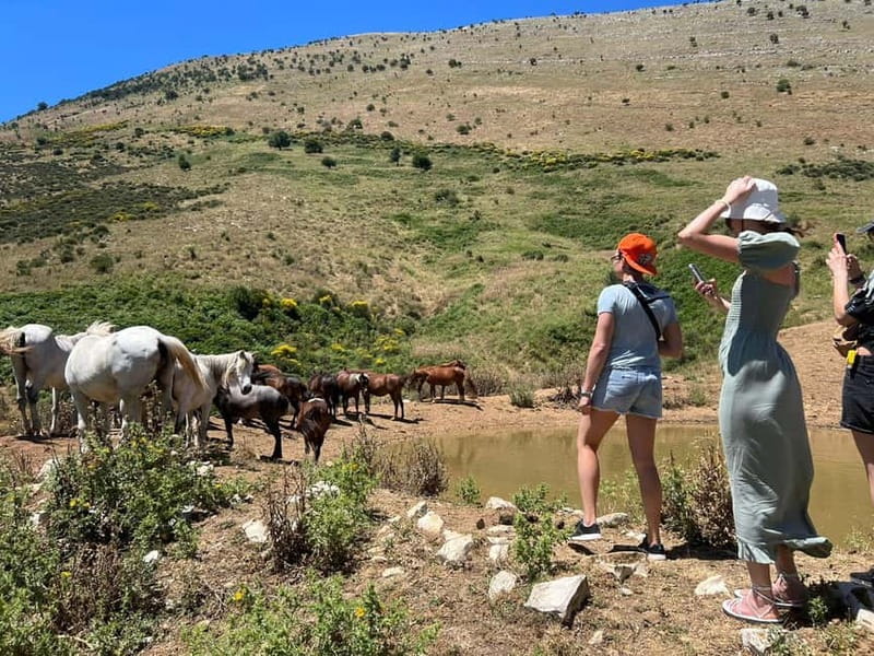 Daily Trip To:Blue Eye,Monastery,Gjirokaster&Lekursi Castle - St. Nicholas Monastery at Mesopotam