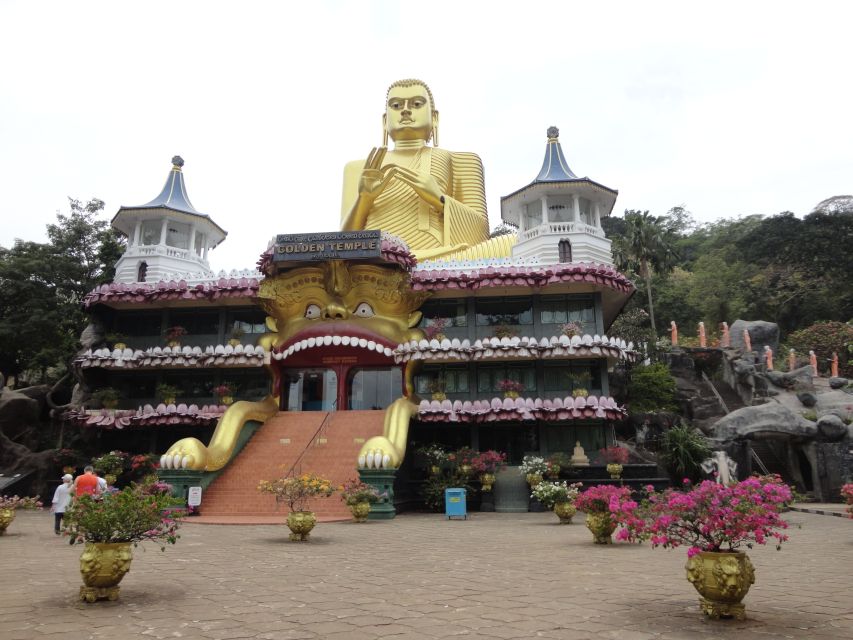 Dambulla: Cave Temple and Village All-Inclusive Tour - The cooking demonstration and home-cooked lunch