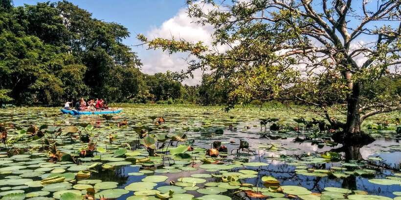 Dambulla: Cave Temple and Village All-Inclusive Tour - Book it for the meal and context, not just the rides