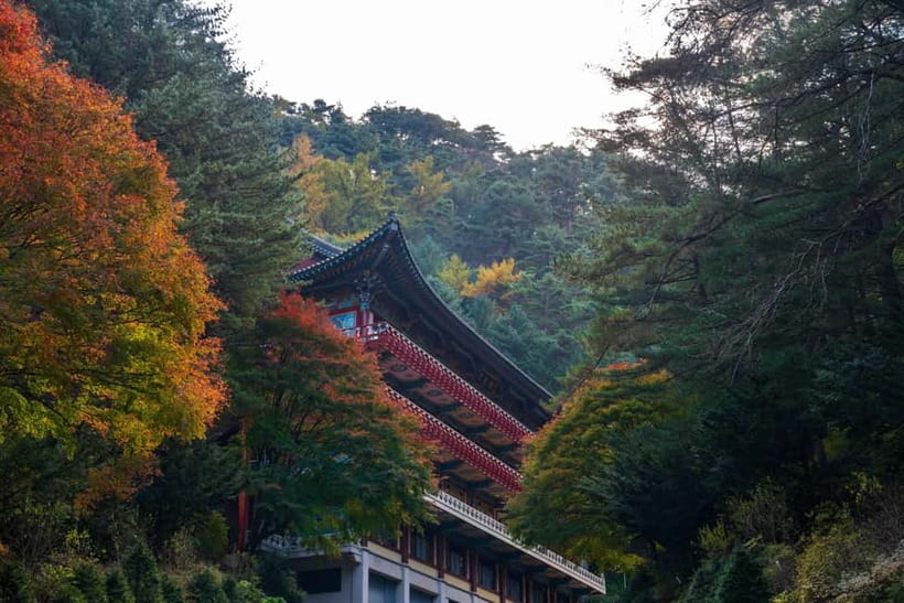 Danyang Tour:Guinsa Temple & Bobaljae & Cheongpung Cable Car - Why this Danyang day trip earns your time