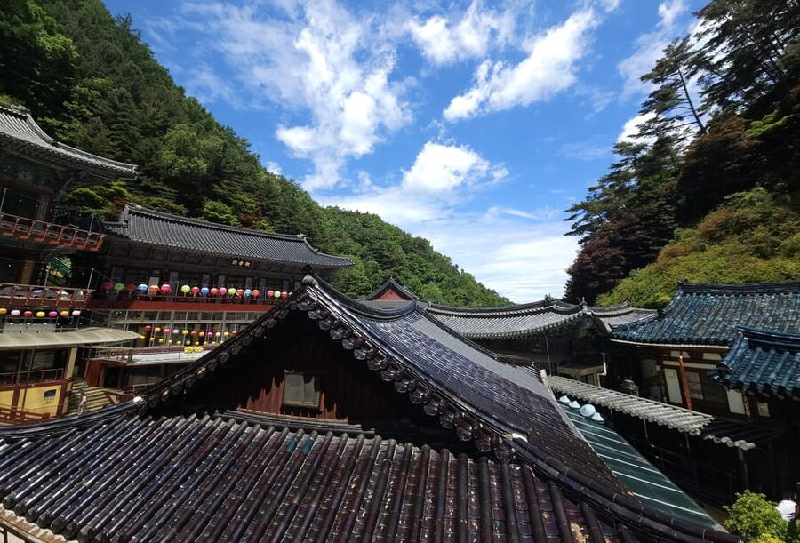 Danyang Tour:Guinsa Temple & Bobaljae & Cheongpung Cable Car - Cheongpung Hoban Cable Car above Cheongpungho Lake