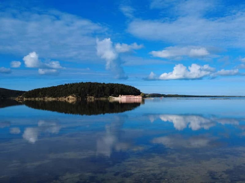 Day tour to: Apollonia, Narta Lagoon & Zvernec Monastery - The guide can shape the whole day