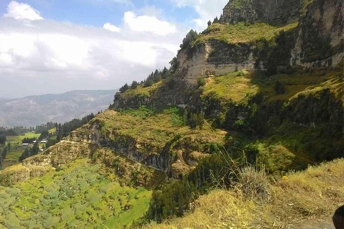 Day Trip From Addis Ababa See Historical Monastery,Stunning Nature,Animals,Birds - Coffee, Ethiopian food, and the human side of the day