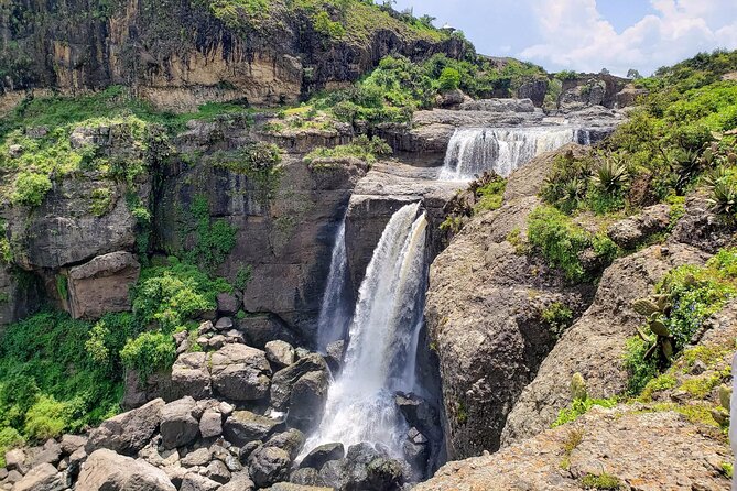 Day Trip From Addis Ababa See Historical Monastery,Stunning Nature,Animals,Birds - Who will enjoy this excursion most