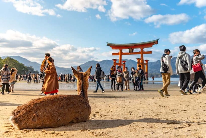 Day Trip to Hiroshima & Miyajima with Itsukushima Shrine - Miyajima begins with a ferry and a famous view