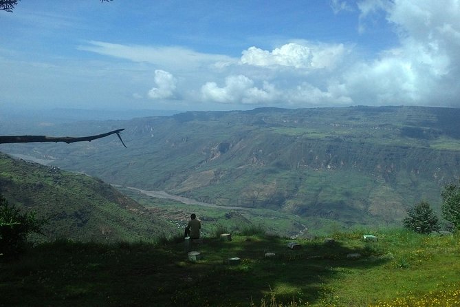 Debre Libanos Monastery and Jemma River Gorge - Day Tour from Addis Ababa - Gelada Baboons in Their Highland Home