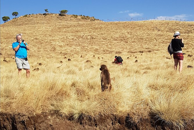 Debre Libanos Monastery and Jemma River Gorge - Day Tour from Addis Ababa - What the $272.77 Group Price Buys You