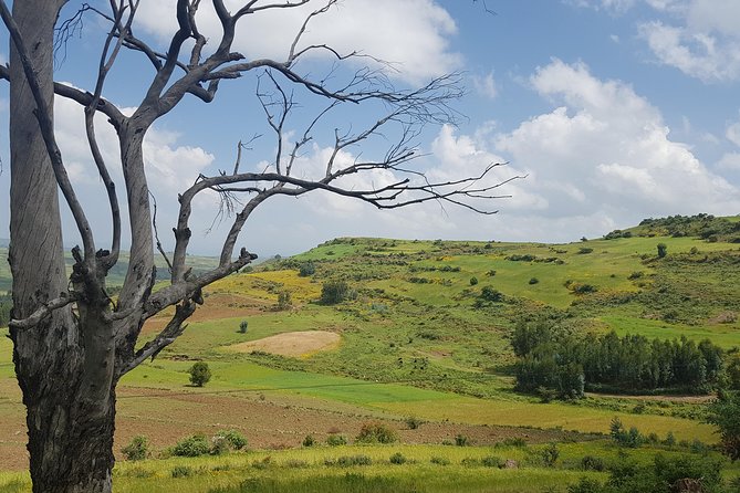 Debre Libanos Monastery and Jemma River Gorge - Day Tour from Addis Ababa - Debre Libanos Monastery and Ethiopian Orthodox Tradition