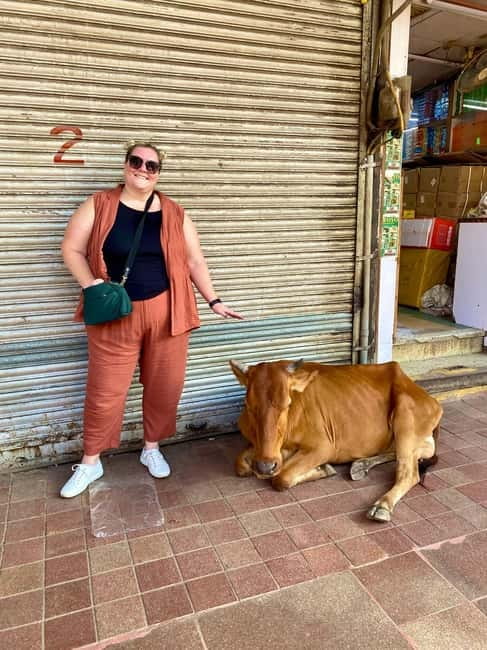 Delhi: Old Delhi's Street Food, Temples & Spice Market Tour - Why this is a smart first taste of Old Delhi