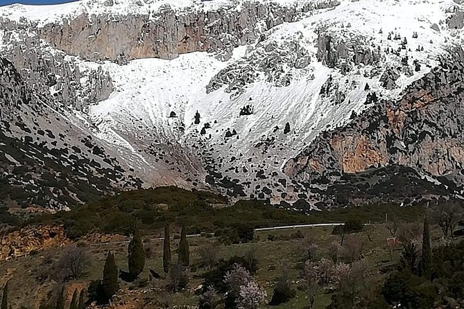 Delphi Full Day Private Tour: Temple of Apollo, Museum, Navel of Earth & Oracle - The Temple of Apollo and the Oracle