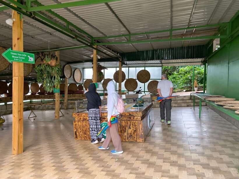 Discover Da Lat Waterfalls, Pagodas & Traditional Villages - Elephant Waterfall and the forest around it