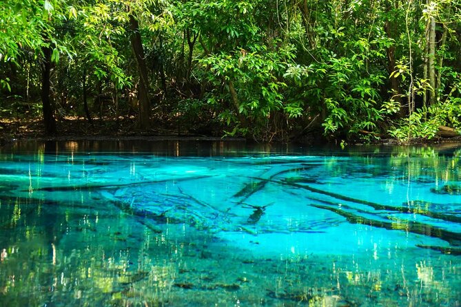 Discover Krabi - Emerald Pool, Hot Springs & Tiger Cave Temple - Key points before you book