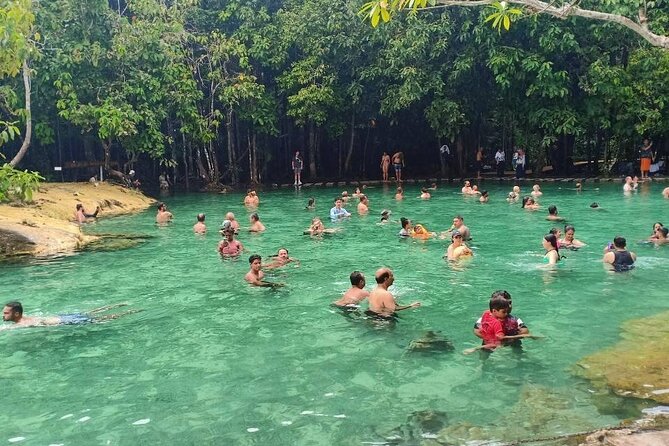 Discover Krabi - Emerald Pool, Hot Springs & Tiger Cave Temple - Emerald Pool: forest walking and a warm swim