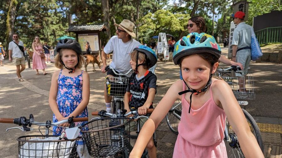 E-Bike Nara Highlights - Todaiji, Knives, Deer, Shrine - Key points to know before you book
