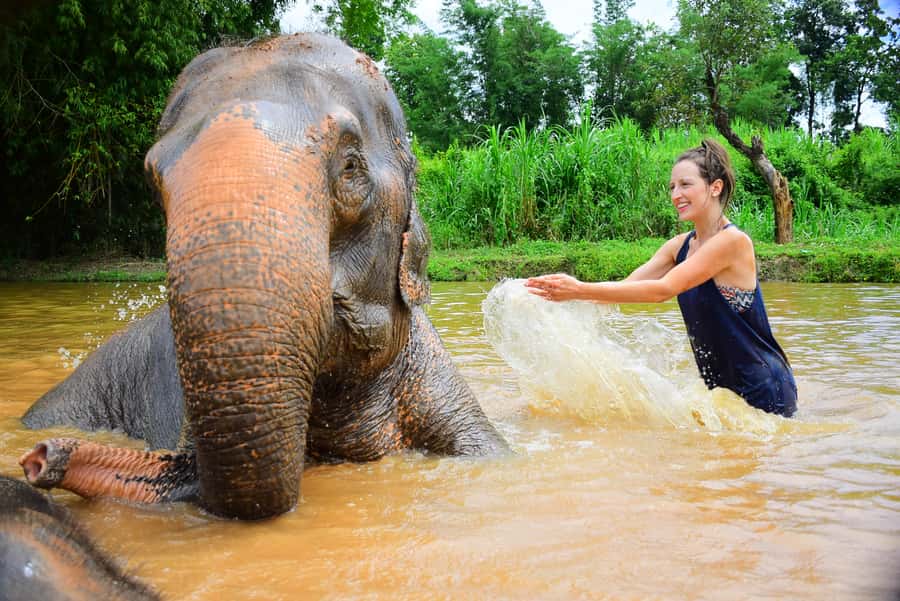Elephant care with Wat Umong, Doi Suthep and Night City view - Key points at a glance