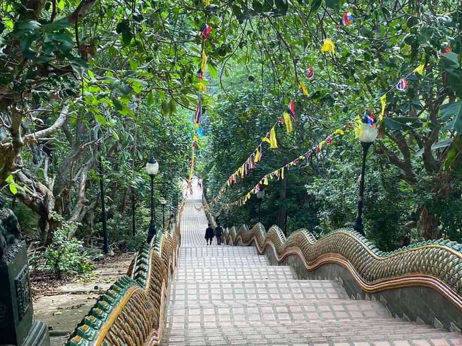 Elephant care with Wat Umong, Doi Suthep and Night City view - FAQ