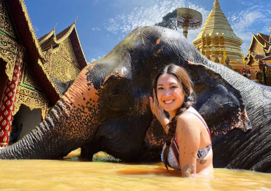 Elephant care with Wat Umong, Doi Suthep and Night City view - Why the elephant program is the heart of the day