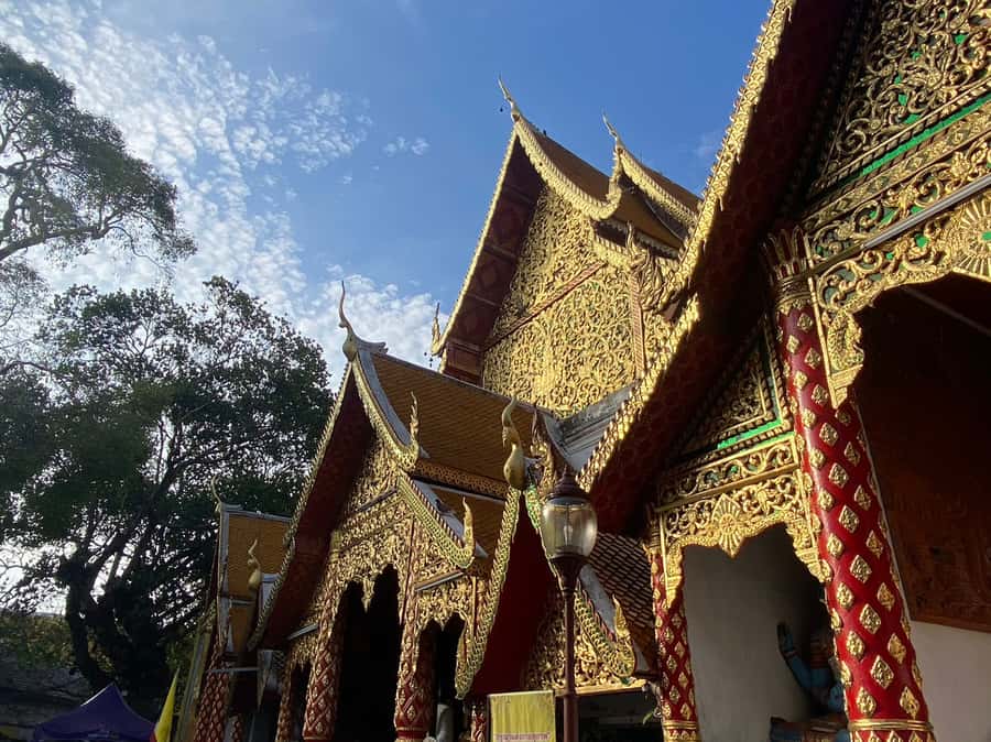 Elephant care with Wat Umong, Doi Suthep and Night City view - Doi Suthep after dark