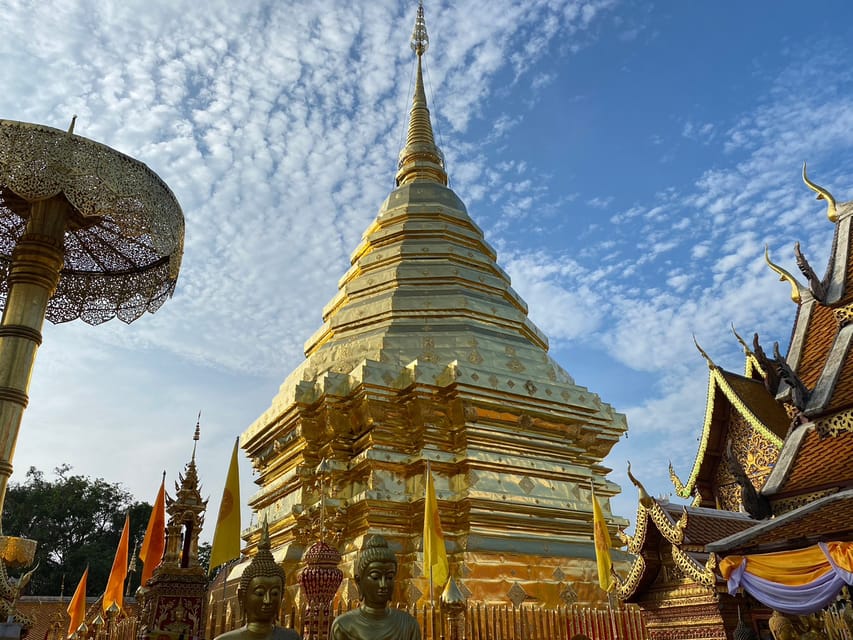 Elephant care with Wat Umong, Doi Suthep and Night City view - Who will enjoy this long Chiang Mai outing