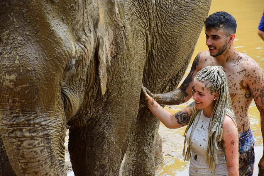 Elephant care with Wat Umong, Doi Suthep and Night City view - From local clothes to the mud pool