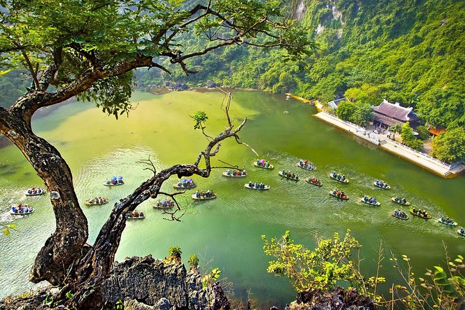 Exploring Bai Dinh Pagoda -Trang An -Mua Cave with Buffet Lunch 1 Day From Hanoi - Buffet lunch with local dishes