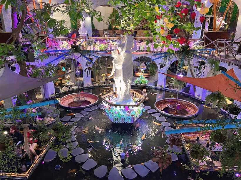 Free E-Sim Ho Chi Minh City: Pagodas and Coffee Corners Tour - Oasis Coffee and the koi fish pond