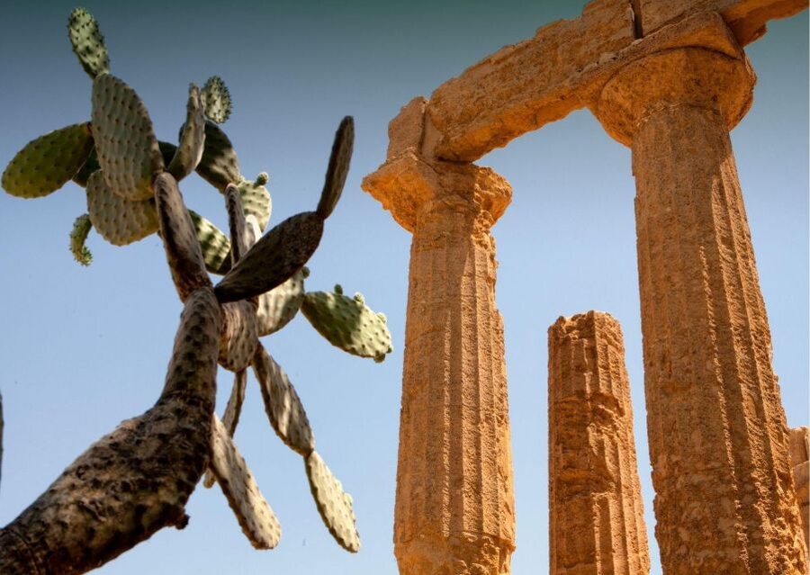 From Agrigento to Siracusa: Valley of Temples & Roman Villa - Key points to know before booking