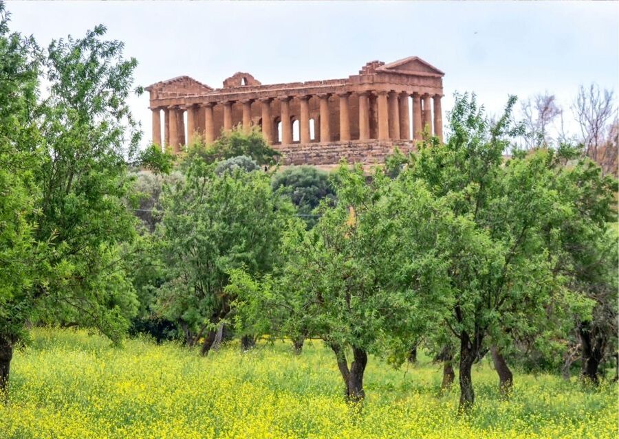 From Agrigento to Siracusa: Valley of Temples & Roman Villa - Who should book this Agrigento to Siracusa transfer?