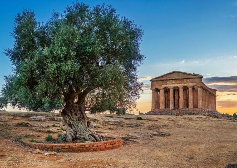 From Agrigento to Siracusa: Valley of Temples & Roman Villa - Walking through the Valley of the Temples