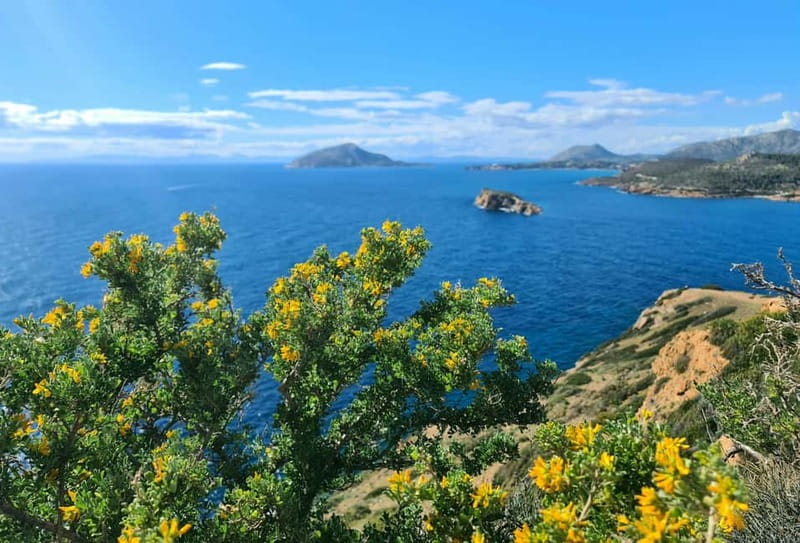 From Athens: Temple of Poseidon & Cape Sounion Half-Day Tour - Why Cape Sounion Is Worth the Long Ride