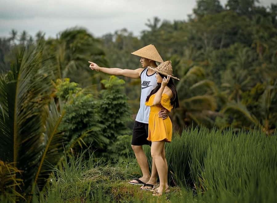 From Bali: Saraswati Temple, Monkey Forest, Ubud Waterfalls - Saraswati Temple and Ubud Palace: a compact cultural center