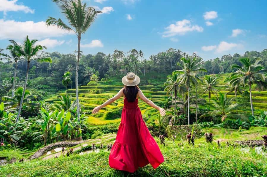 From Bali: Saraswati Temple, Monkey Forest, Ubud Waterfalls - Tegenungan Waterfall: scenic, popular, and a little strenuous
