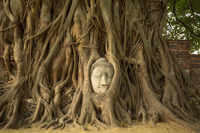 From Bangkok: Ayutthaya Temples Small Group Tour with Lunch - Thai lunch, simple food, and a useful break