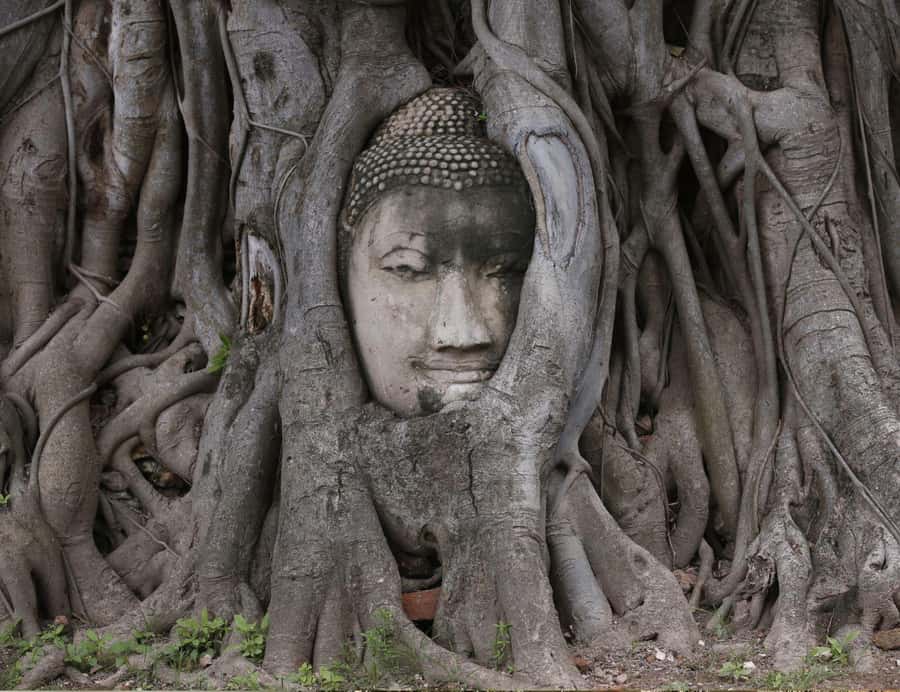 From Bangkok: Private Guided Tour of Ayutthaya’s 6 Temples - Wat Ratchaburana reveals a royal story