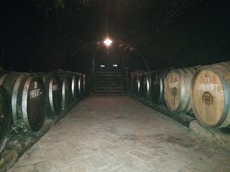 From Belgrade: Novi Sad & Fruska gora & winery and monastery - Bermet at Živanović Winery